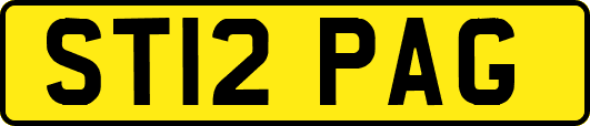 ST12PAG