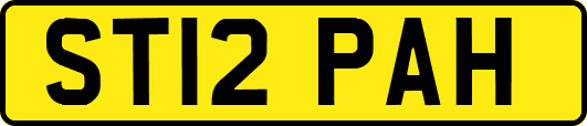 ST12PAH