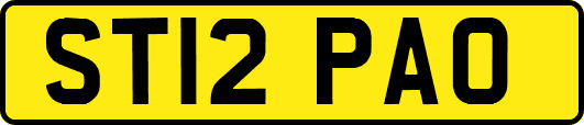 ST12PAO