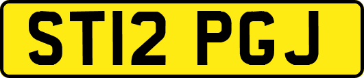 ST12PGJ