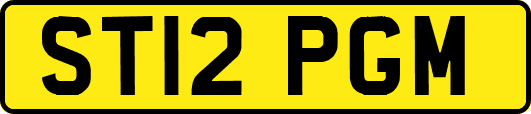 ST12PGM