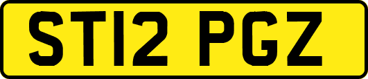 ST12PGZ