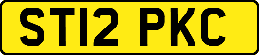 ST12PKC