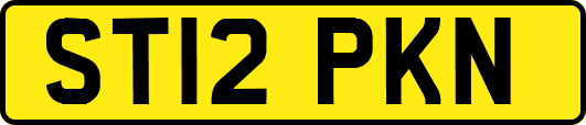 ST12PKN