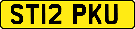 ST12PKU
