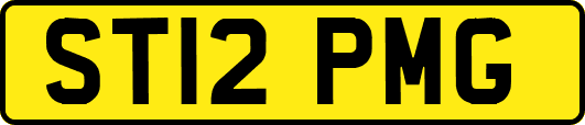 ST12PMG