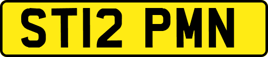 ST12PMN
