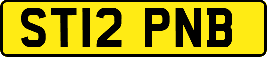 ST12PNB