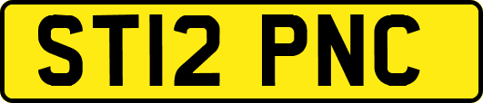 ST12PNC