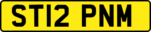 ST12PNM