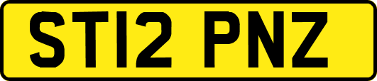 ST12PNZ
