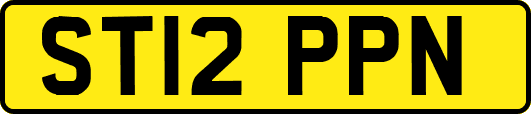 ST12PPN