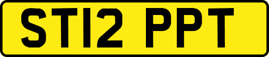 ST12PPT