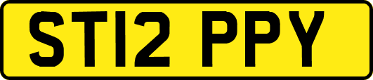 ST12PPY