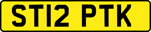 ST12PTK
