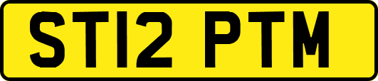 ST12PTM