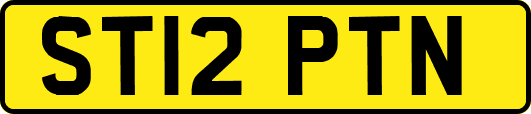 ST12PTN