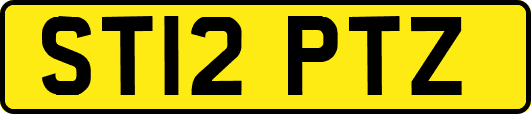 ST12PTZ