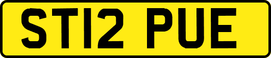ST12PUE