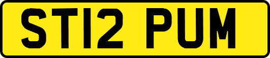 ST12PUM