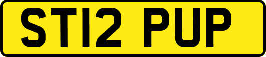 ST12PUP