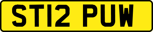 ST12PUW