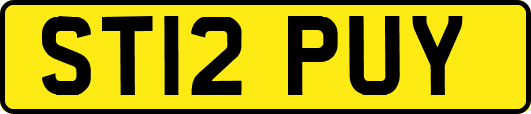 ST12PUY