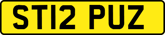 ST12PUZ
