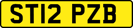 ST12PZB