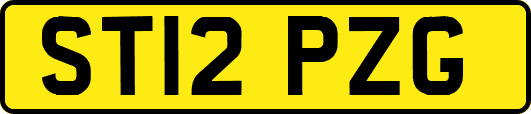 ST12PZG