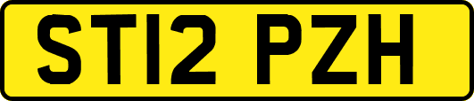 ST12PZH