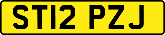 ST12PZJ
