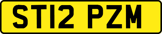 ST12PZM