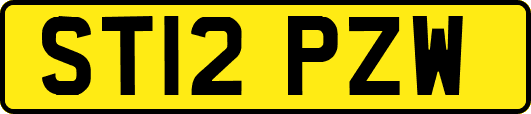 ST12PZW