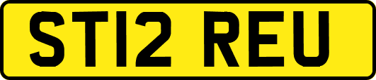ST12REU