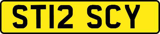 ST12SCY