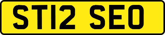 ST12SEO