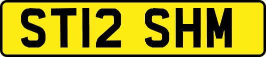ST12SHM