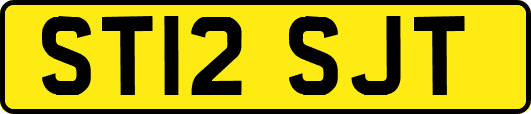 ST12SJT