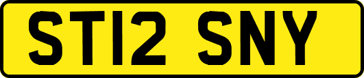 ST12SNY