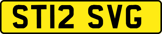 ST12SVG