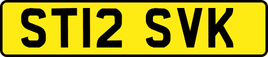 ST12SVK