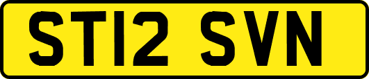 ST12SVN