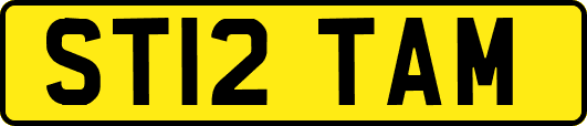 ST12TAM