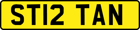 ST12TAN