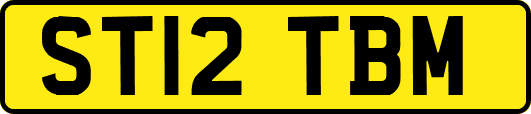 ST12TBM