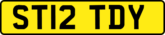 ST12TDY