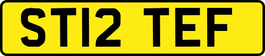 ST12TEF