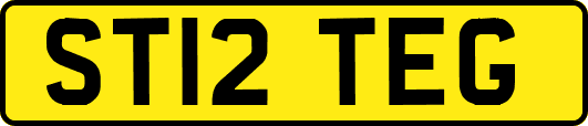 ST12TEG