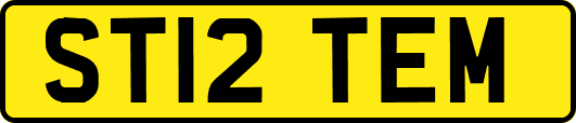 ST12TEM